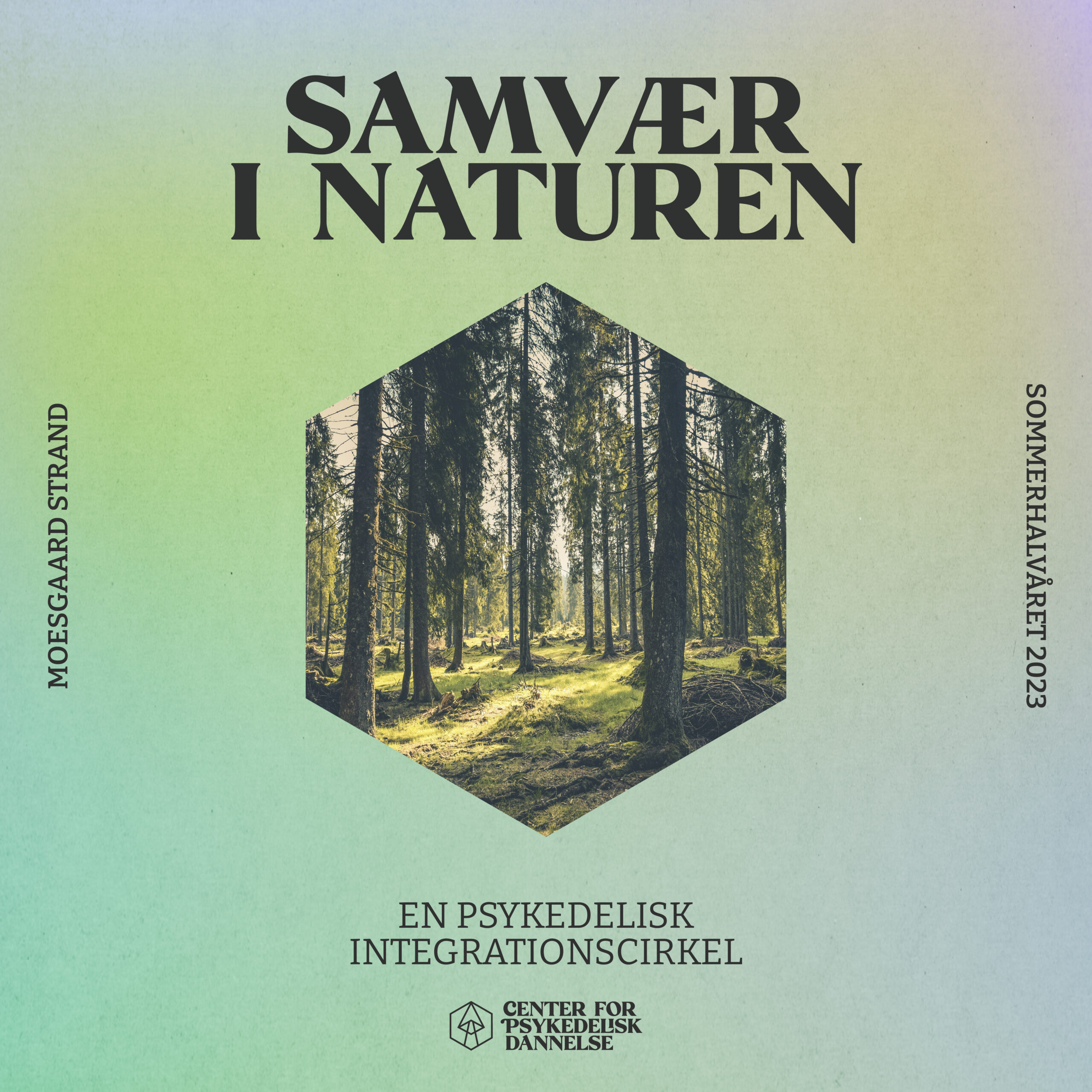Tag med os til en dag med psykedelisk integration og samvær ved Moesgaard Strand i Aarhus. Datoer: 27/5, 25/6, 30/7.