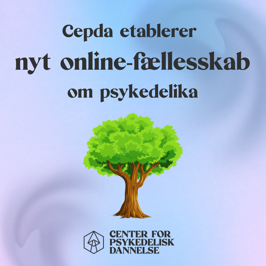 Bliv en del af vores nye online-fællesskab