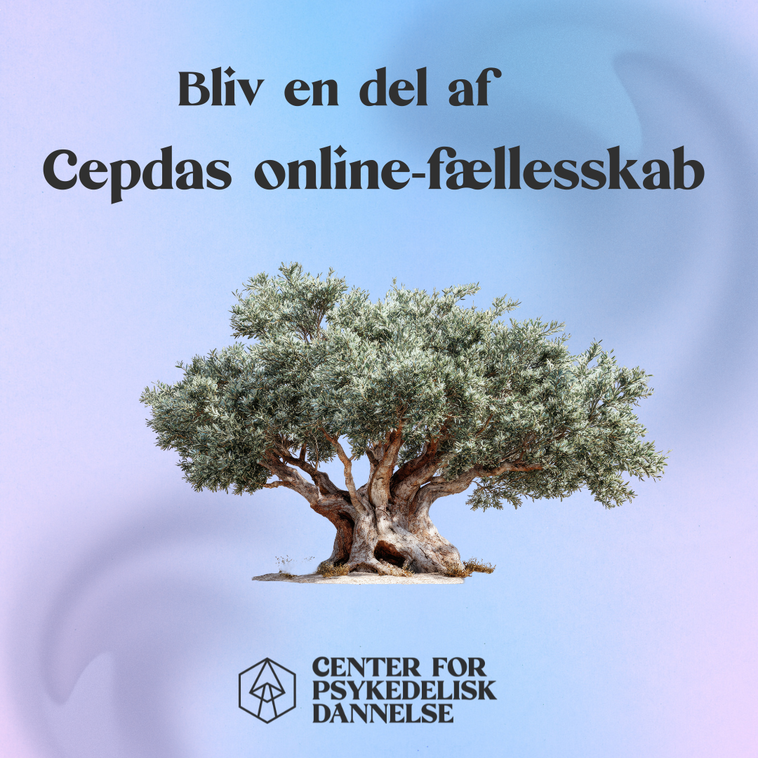 Bliv en del af Cepdas online-fællesskab