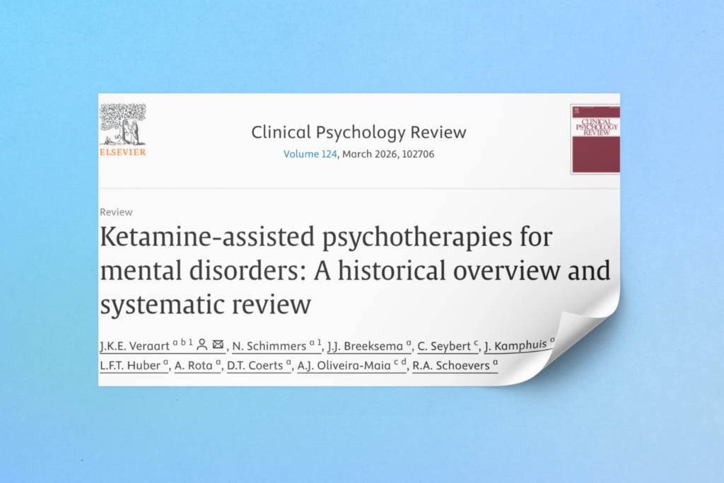 Screenshot af artikel