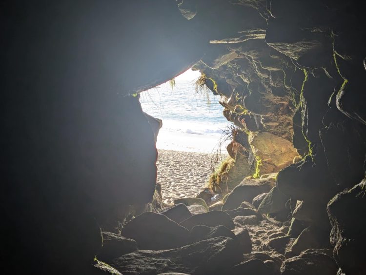 e87a42db-0576-4e69-8714-6d583a0d2e48