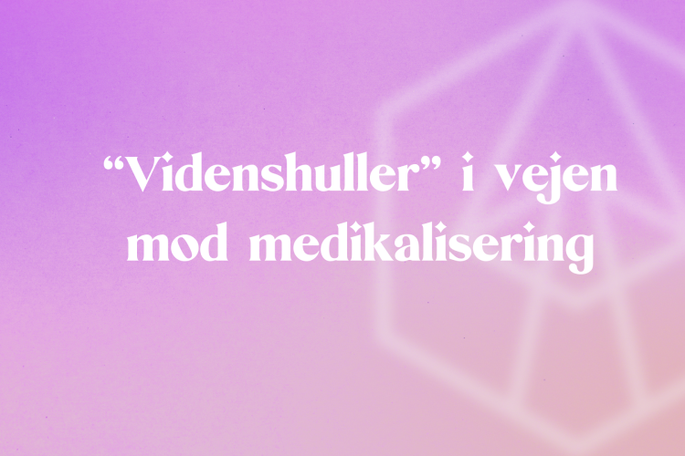 videnshuller